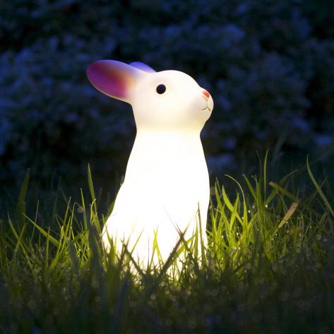 Rabbit night light